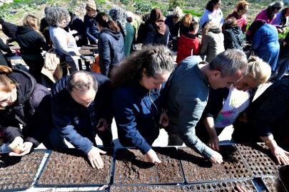 Kent Bostanlarında yaz mesaisi başladı