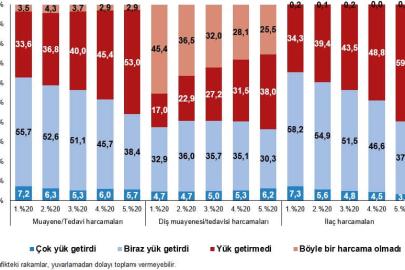 Muayene ve tedavi harcamaları hanelerin %6,1'ine çok yük getirdi