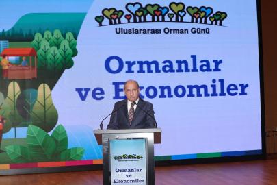 Ormanların Ekonomik Gücüne Dikkat Çekildi