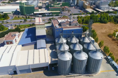 Türkiye'nin Yeni Ekmeği Konya’da Geliştirildi