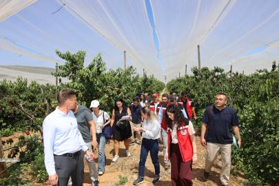 Türk kirazı tek yön Çin biletini almak üzere