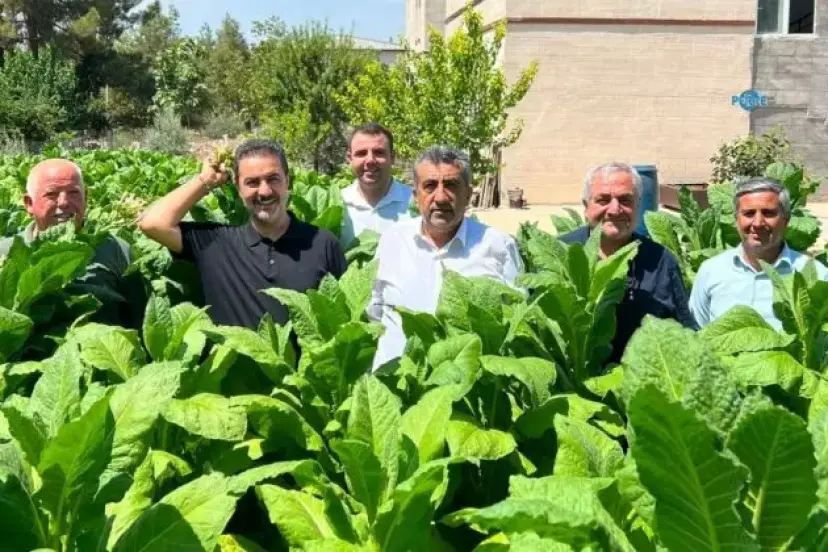 Genel Başkan Yardımcısı Bilal Yıldırım’dan Adıyaman’da tütün üreticisine destek açıklaması